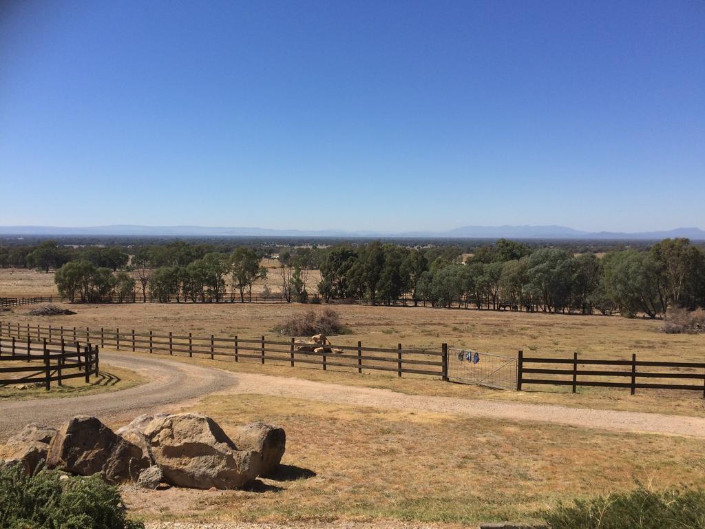 Warby Cottage Wangaratta Εξωτερικό φωτογραφία